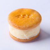 ・ソルティー マジック・※紙袋別